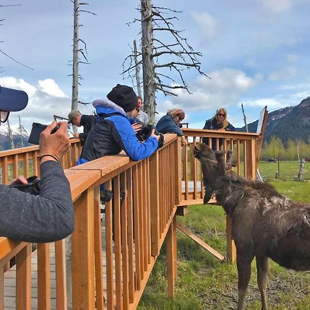 Placer Cabin Girdwood Bagian luar foto