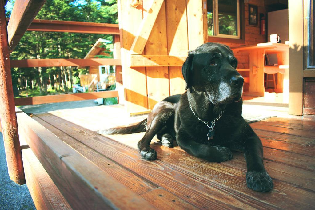 Placer Cabin Girdwood Bagian luar foto