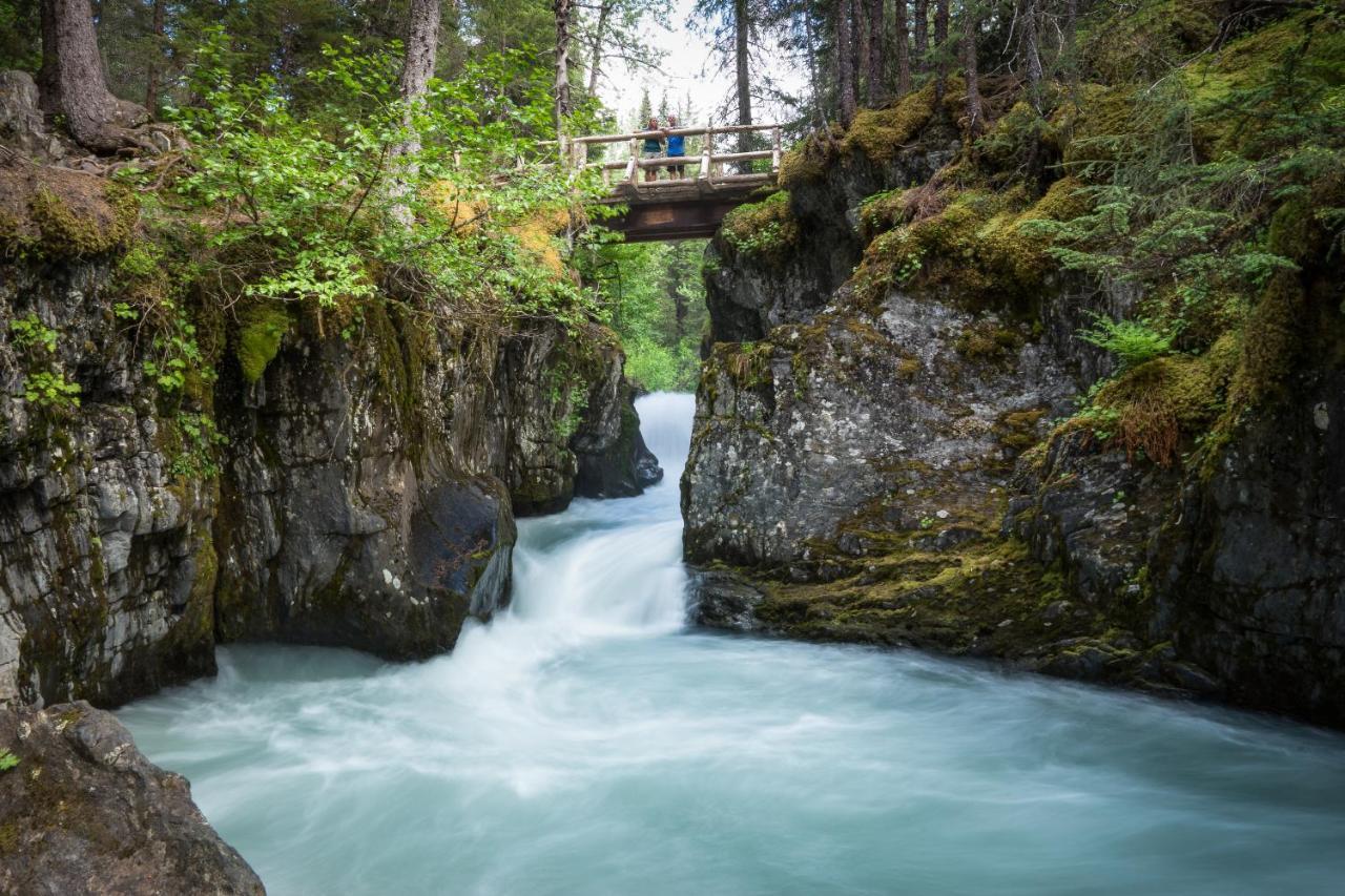 Placer Cabin Girdwood Bagian luar foto